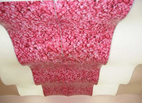 軟膜天花價(jià)格