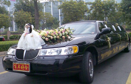 廣州婚慶租車