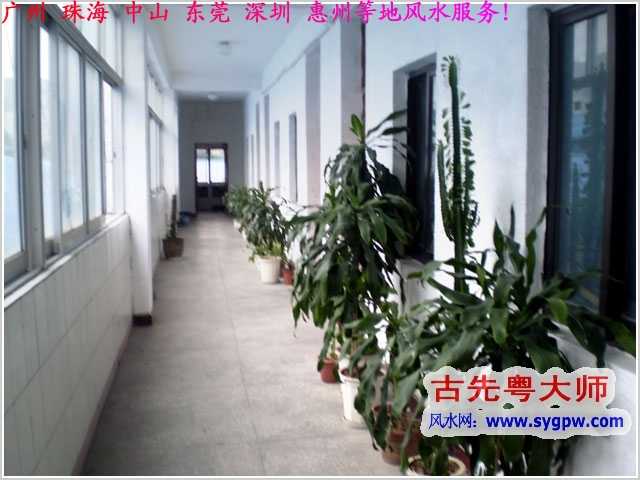 建筑風水是如何取吉名字的？看風水軟件