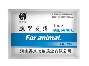 zl雞腺胃炎用smy{zh0} 雞傳染性腺胃炎zl方案
