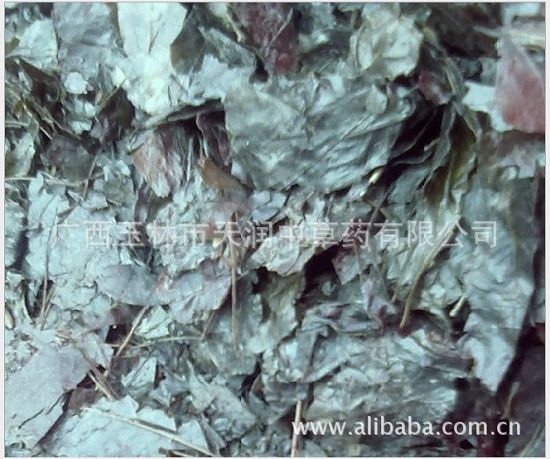 卷柏;九死還魂草;復活草;還陽草,羅漢果花
