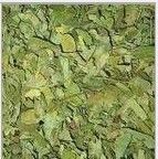 天潤zcy三和茶