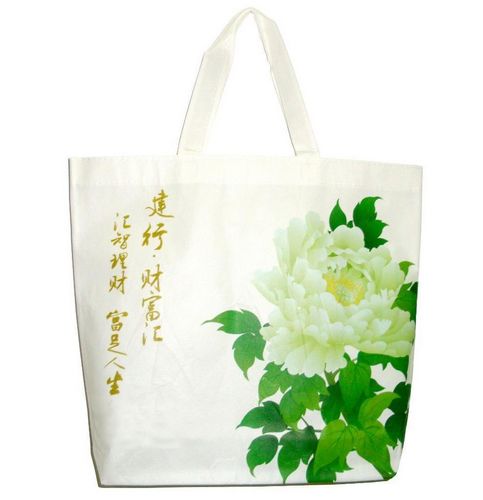 廠家直銷環(huán)保袋 定做無(wú)紡布袋購(gòu)物袋