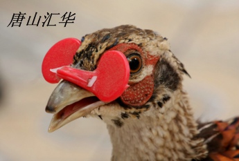雞眼鏡，雞眼罩，重發利用，唐山匯華雞眼鏡廠