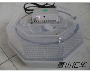 小型孵化機(jī)，多功能小型孵化機(jī)，自動(dòng)翻蛋