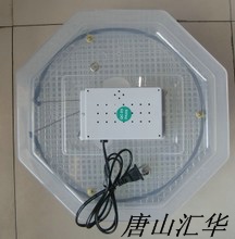 小型孵化機(jī)，多功能小型孵化機(jī)，自動(dòng)翻蛋