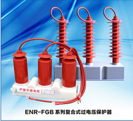 ENR-LHQ電纜護層保護器/電纜接地箱