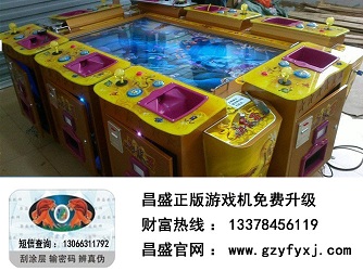 廣州番禺1000炮汽艇出海dyj，廣州番禺1000炮汽艇出海byj
