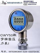 四位數字精密壓力表
