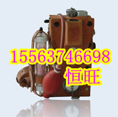  CJG10/CJG100光干涉式甲烷測定儀
