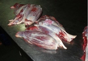 批發巴西進口200牛后腱 冷凍IBP245E牛仔骨 冷凍278美國肥牛