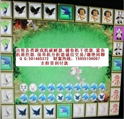 【信譽保障】金鯊銀鯊怎么玩贏錢