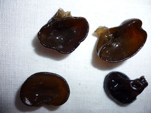 小黑木耳|小黑木耳批發|黑龍江小黑木耳批發,企業庫原始圖片3