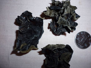 東北黑木耳干貨|東北黑木耳干貨供應商,節慶員工福利用黑木耳,一件發貨原始圖片2