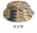 供應塑料手打帶