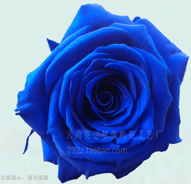保鮮花定做，量大從優(yōu)，花之夢保鮮花工藝廠歡迎各界人士來電來人洽談合作，聯(lián)系電話：15812118006