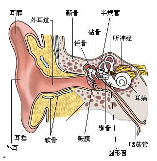 急性中耳炎
