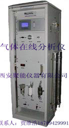 化工合成氨、PSA、煤制甲醇過程氣體分析儀