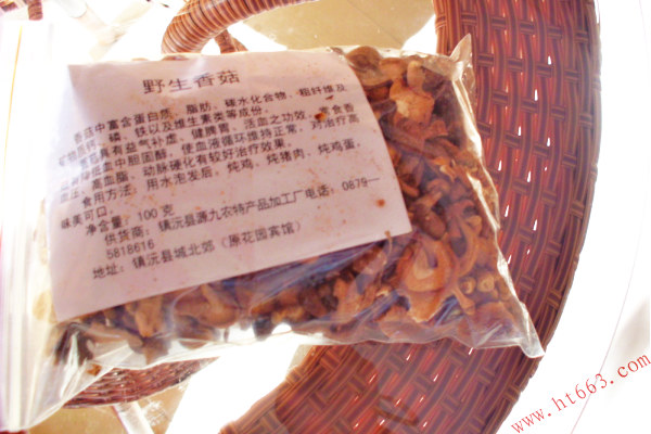 普洱野生香菇原始圖片2