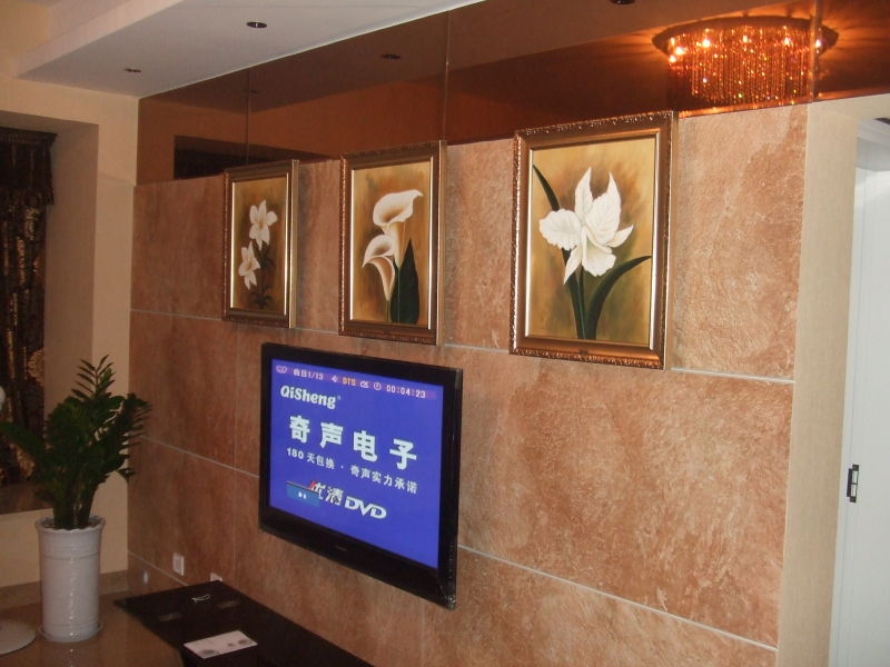 CCTV專題報道TVC4050YH平板音響會唱歌的油畫