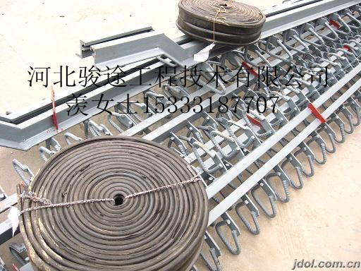 九江Z40/Z60/Z80型公路橋梁伸縮縫，明智老板{sx}駿途！