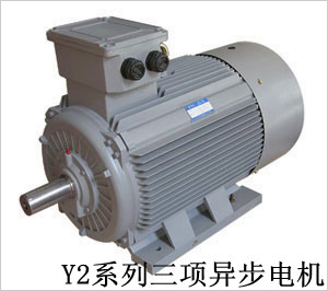 Y、Y2系列三項異步電機