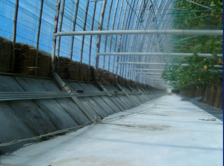 大棚自動放風機|大棚溫控儀|大棚智能放風設備|大棚卷膜機