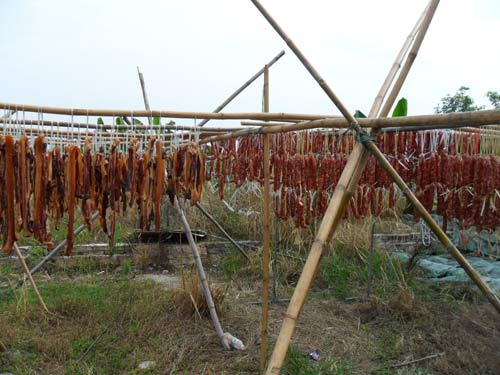 tr臘腸,tr臘肉