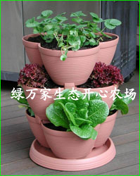 立體種植系列售點(diǎn)