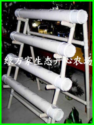 智能化水培育菜機單層（四排）-III型 