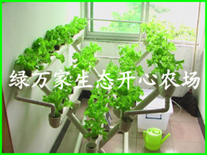 智能化水培育菜機X型（五排） 