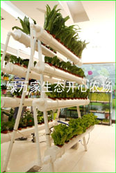 廣州智能化水培育菜機售點