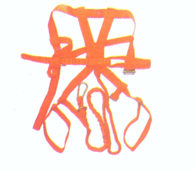 安全帶,連腿式