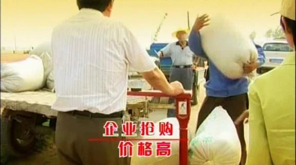 鄭州企業宣傳片制作，農資廣告制作，種子廣告制作原始圖片2