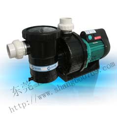 西班牙快巴循環(huán)水泵,游泳池專業(yè)循環(huán)水泵