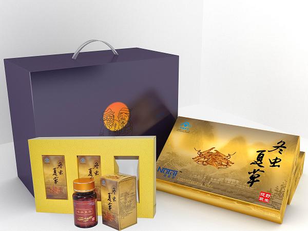 供應諾恩泰冬蟲夏草膠囊