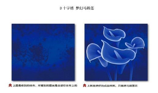 3D十字繡、3D十字繡代理加盟、3D十字繡生產(chǎn)廠家原始圖片3