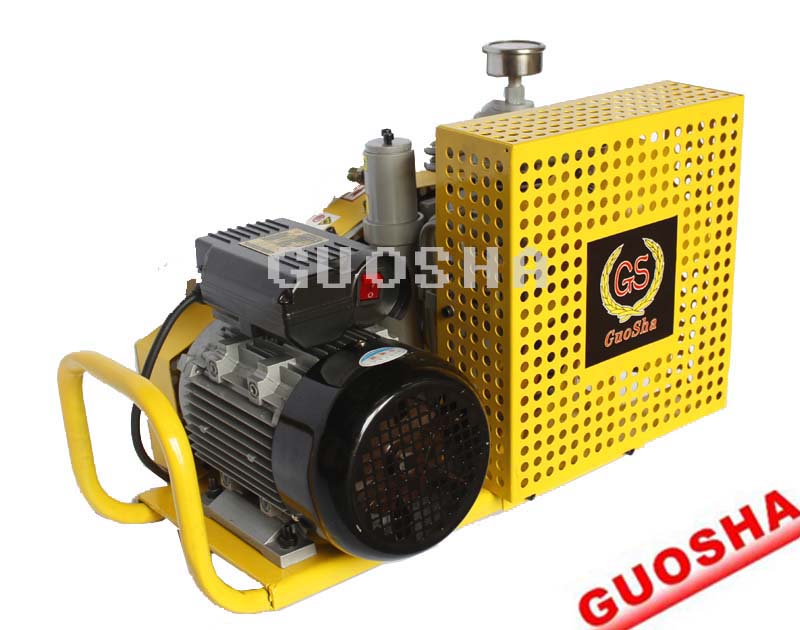 GSV100型潛水氣瓶空氣填充泵（又稱：潛水呼吸空氣壓縮機）原始圖片2