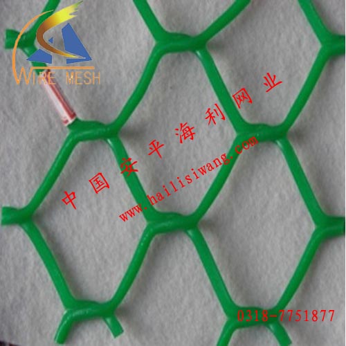 海利-塑料平網(wǎng) 阻燃塑料網(wǎng) 聚乙烯網(wǎng) 防護用網(wǎng) 養(yǎng)殖網(wǎng)原始圖片2
