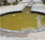 蘇州園區抽糞昆山市抽糞常熟市抽糞吳江市抽糞清理化糞池