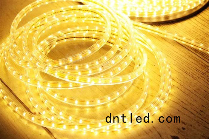 DNT-LED軟燈條012