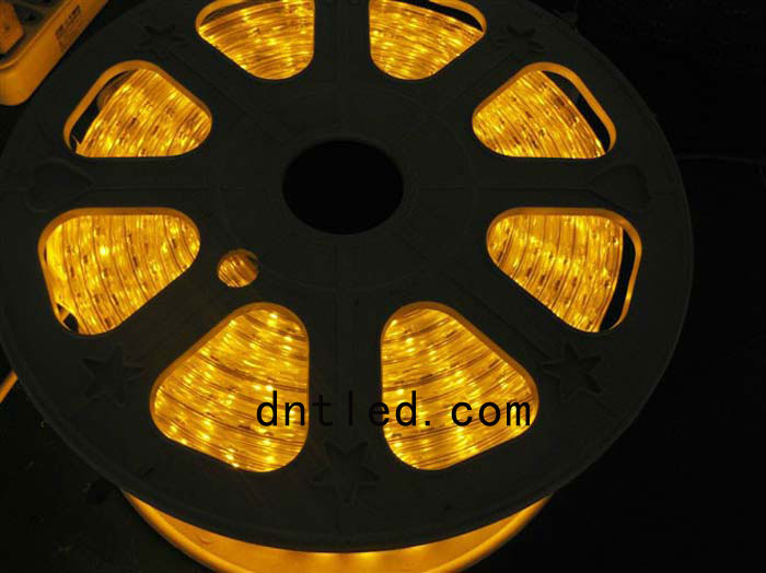 DNT-LED軟燈條012