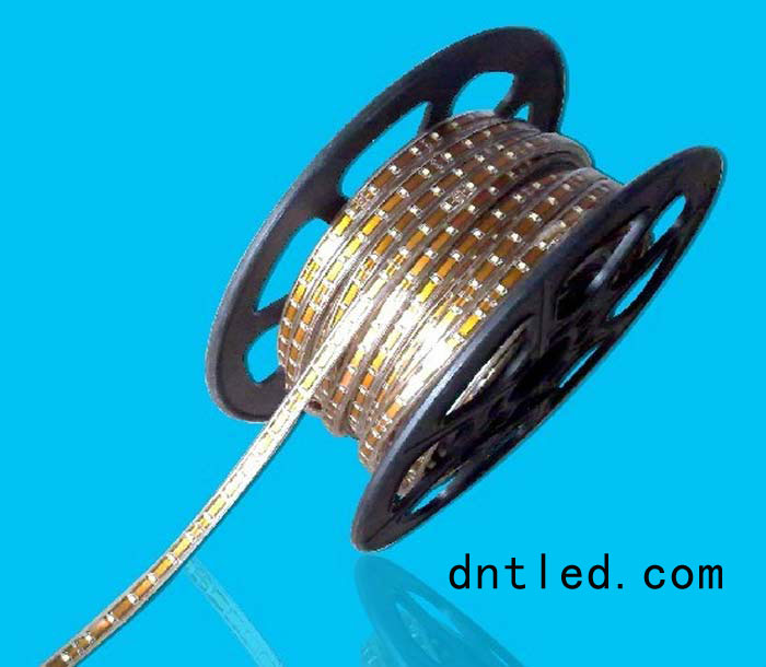 DNT-LED軟燈條011