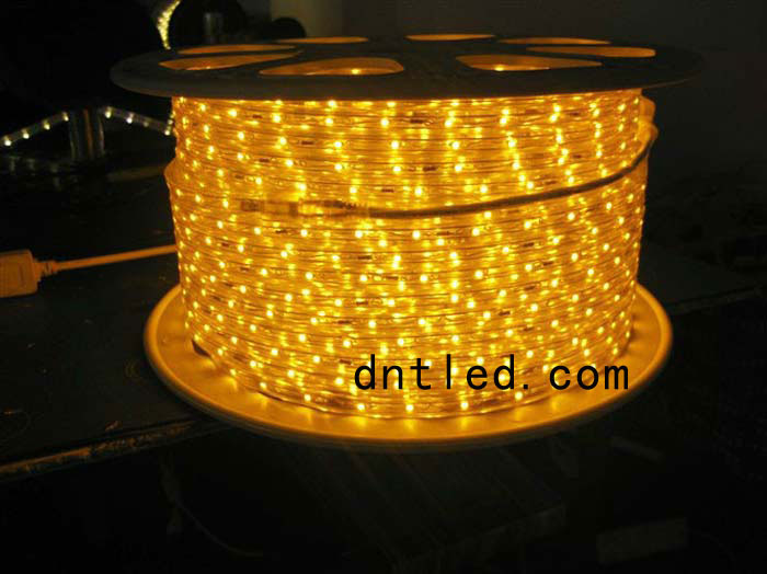 DNT-LED軟燈條010