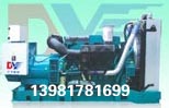 瑞典富豪柴油發(fā)電機組 (VOLVO) 