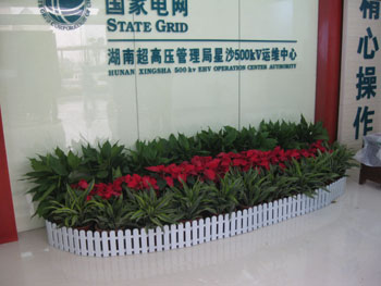 長沙寫字樓辦公室綠色植物花卉租擺租賃原始圖片2