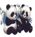 數(shù)碼彩印、水晶彩印、衣服彩印、百萬圖庫、賀卡、人物圖庫
