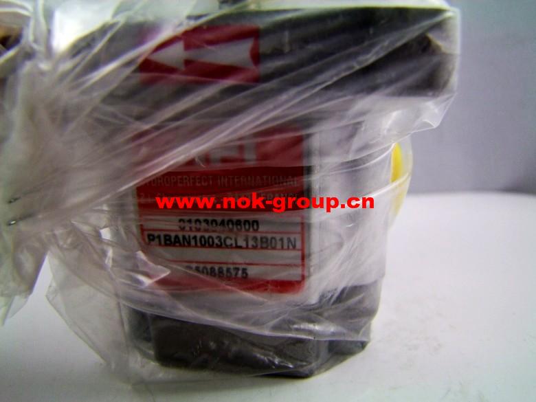 HPI齒輪泵P2CBN3071HV20C04N