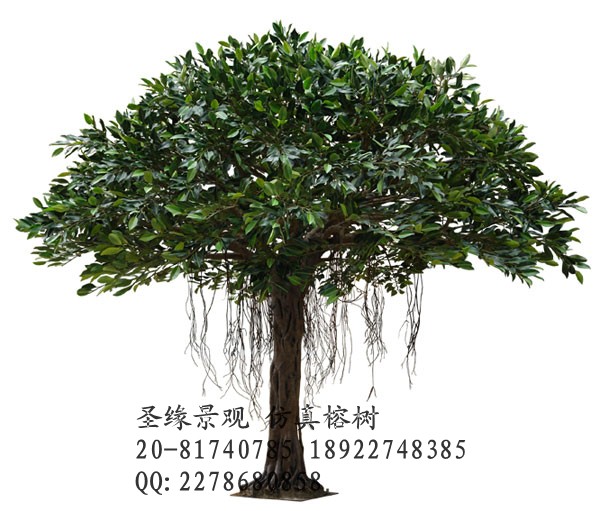 批發(fā)零售廠家直銷仿真榕樹 仿真楓樹 仿真松樹 仿真樹