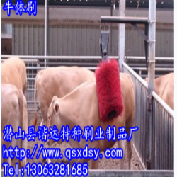?全自動牛體刷